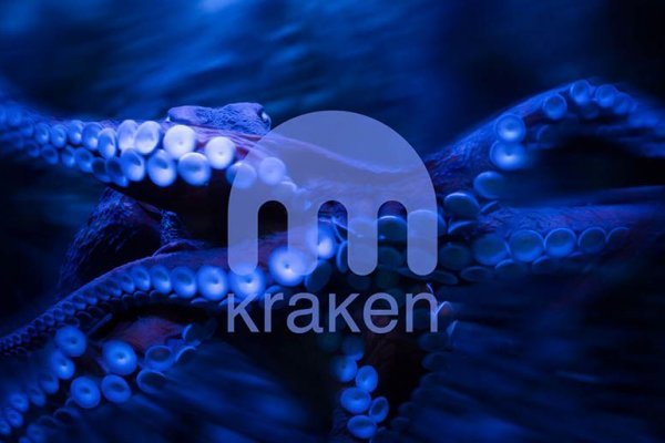 Kraken dark net