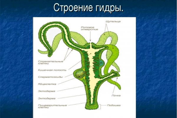 Tor зеркала