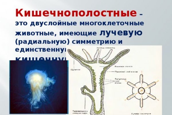 Кракен сайт закладок